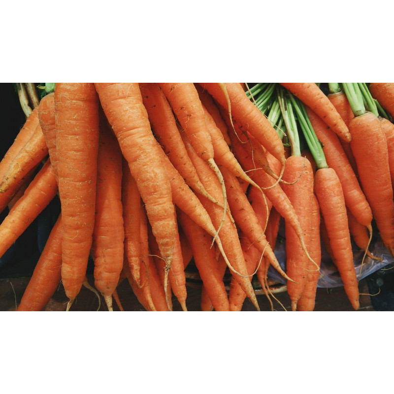 CARROT - WESTERN RED , ORGANIC