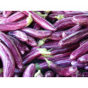 EGGPLANT - LONG PURPLE - ORGANIC