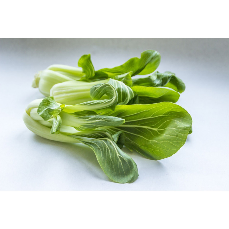 PAK CHOI- CANTONG WHITE