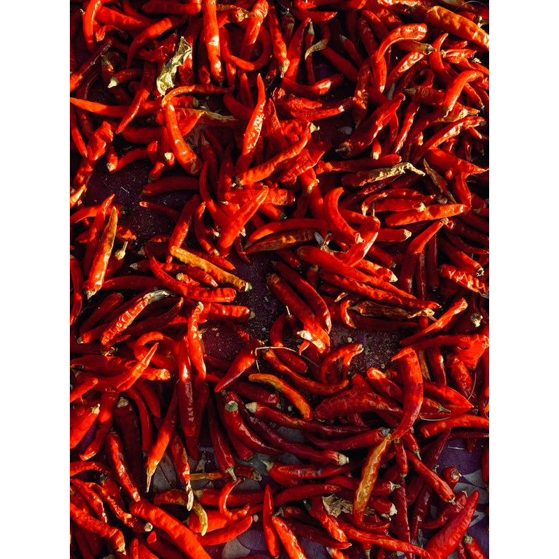 CHILI - CAYENNE THIN RED