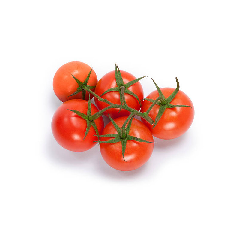 TOMATO-VINE-BREAK O'DAY