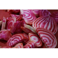 BEETROOT - CHIOGGIA