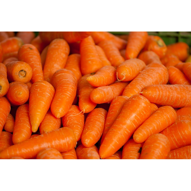 CARROT - CHANTENAY RED CORED