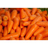 CARROT - CHANTENAY RED CORED