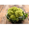 CAULIFLOWER - MACERATA GREEN