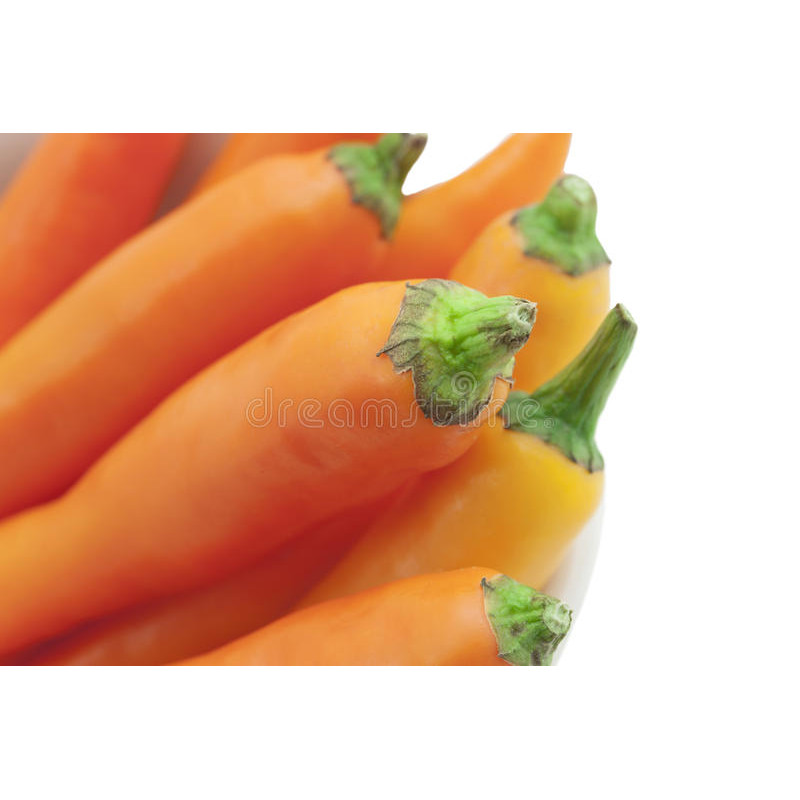 CHILI - BULGARIAN CARROT