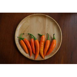 CHILI - BULGARIAN CARROT