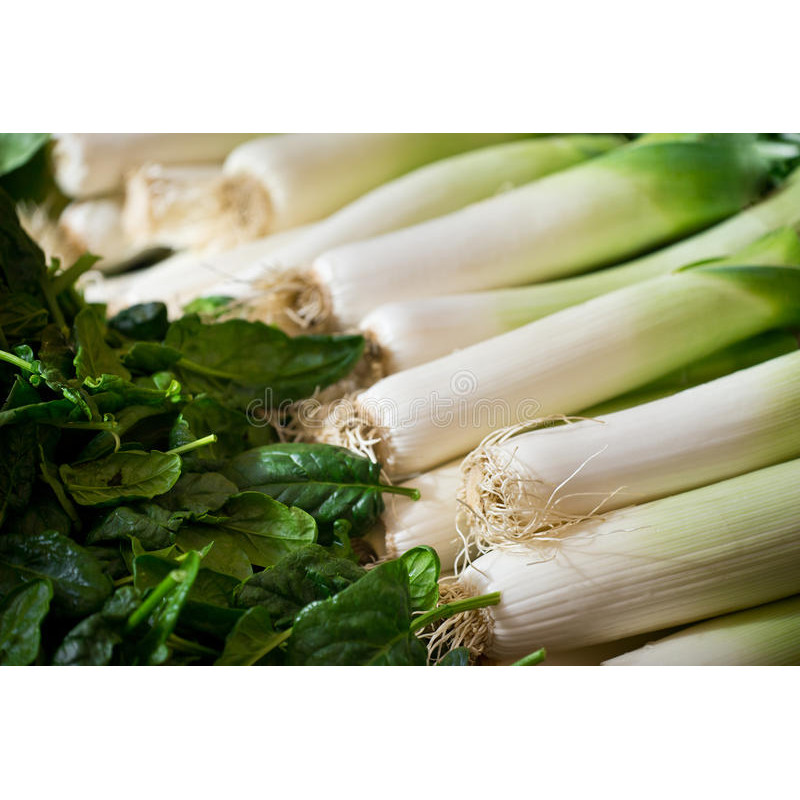 LEEK - CARENTAN - ORGANIC