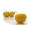 TOMATO - MORTGAGE LIFTER YELLOW, vine