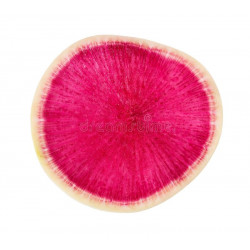 RADISH - WATERMELON