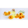 CALENDULA - PACIFIC BEAUTY MIX