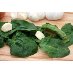 SPINACH - BLOOMSDALE LONG STANDING