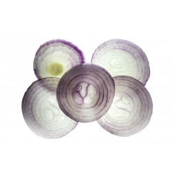 ONION - PURPLETTE