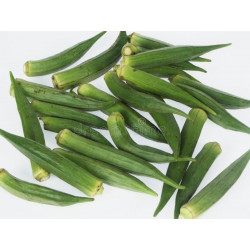 OKRA - CLEMSONS SPINELESS