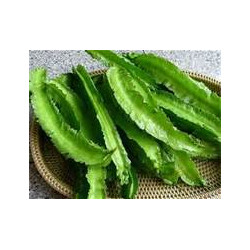 BEAN - WINGED BEAN