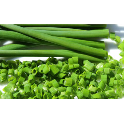 CHIVES - ONION LEAF