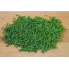 CHIVES - ONION LEAF