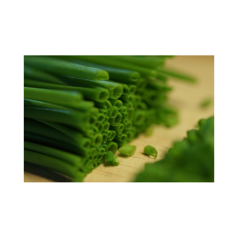 CHIVES - ONION LEAF