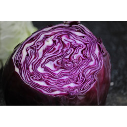 CABBAGE - RED ACRE