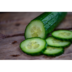 CUCUMBER - POINSETT