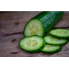 CUCUMBER - POINSETT