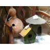 GOURD - BIRDHOUSE