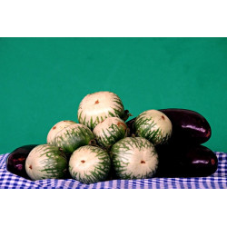 EGGPLANT - THAI ROUND GREEN