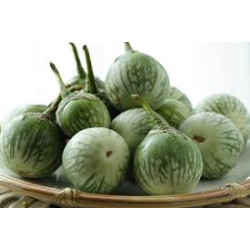 EGGPLANT - THAI ROUND GREEN