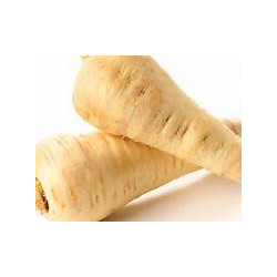 PARSNIP - WHITE GEM