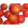 TOMATO - AMISH SALAD - VINE - ORGANIC