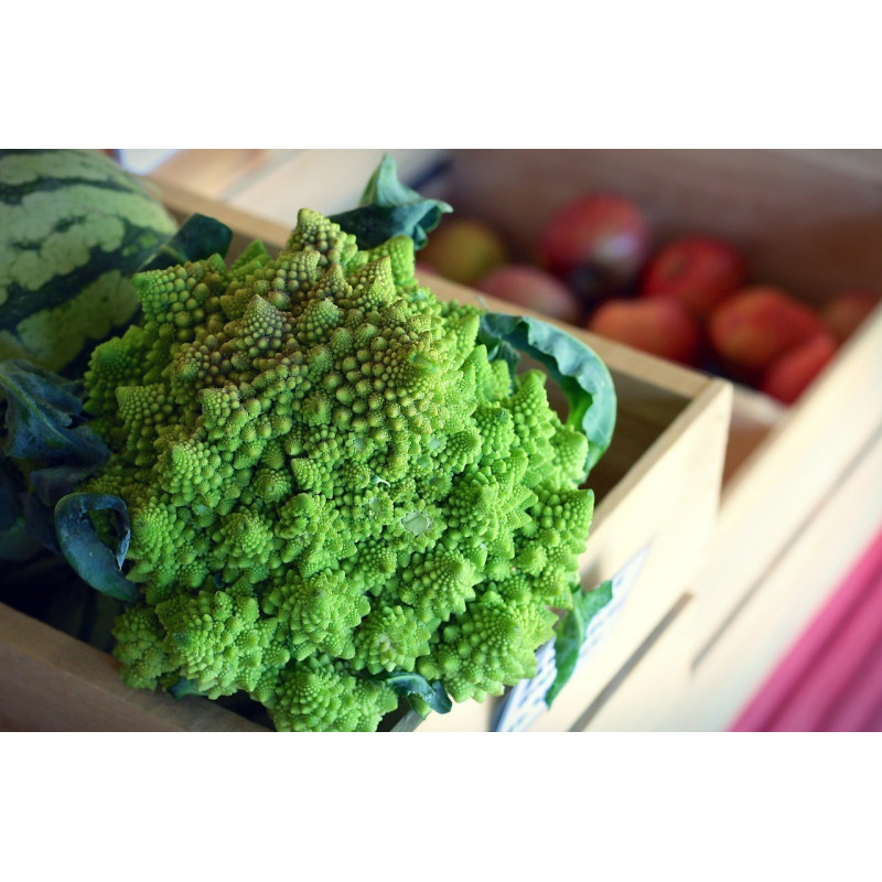 BROCCOLI - ROMANESCO