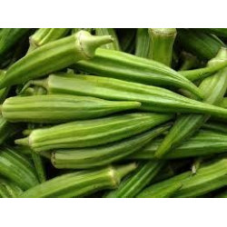 OKRA - CLEMSONS SPINELESS