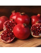 Pomegranate